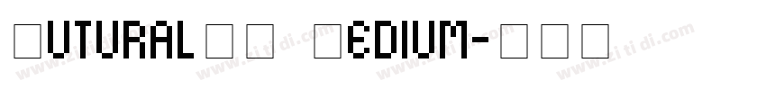 PuturalPT Medium字体转换